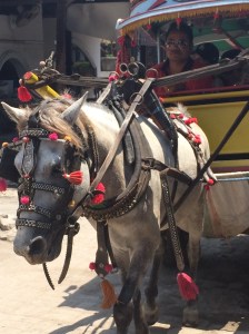 Horse/pony cart a.k.a Cidomo