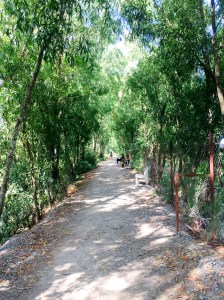 Quiet pathway at Killing Fields