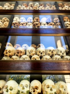 Skulls of victims found in Memorial at Killing Fields