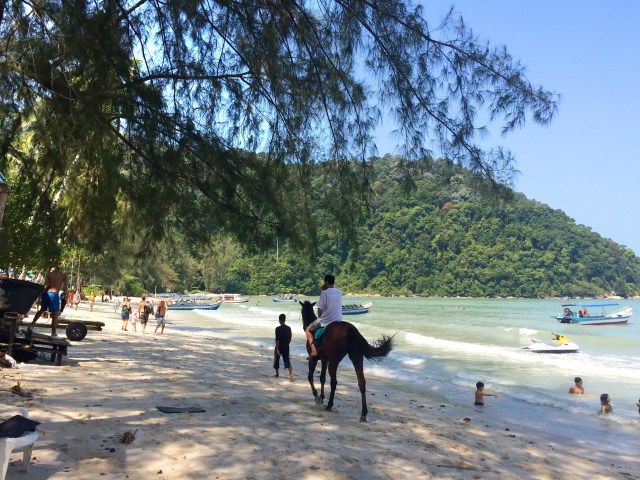 Monkey Beach Penang