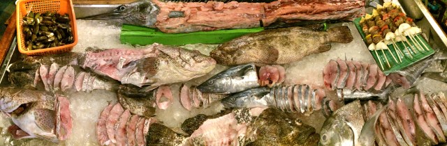 Fresh fish selection at buffet