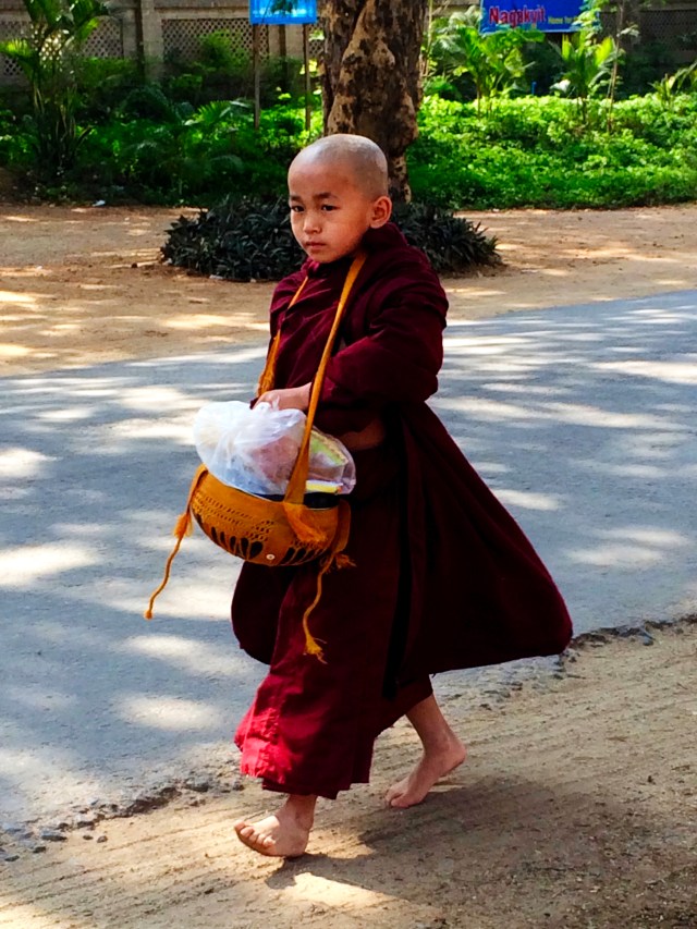 Young Burmese monk