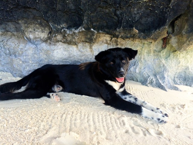 Papaya Beach:Palawan