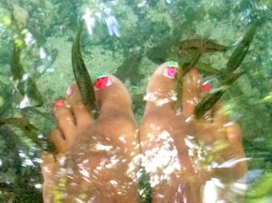 Fish eating away dead skin