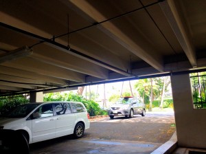 Cars waiting for people to come back and leave. 