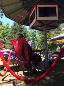 Paul - King of Saratoga