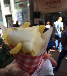 Fries from Vleminckx