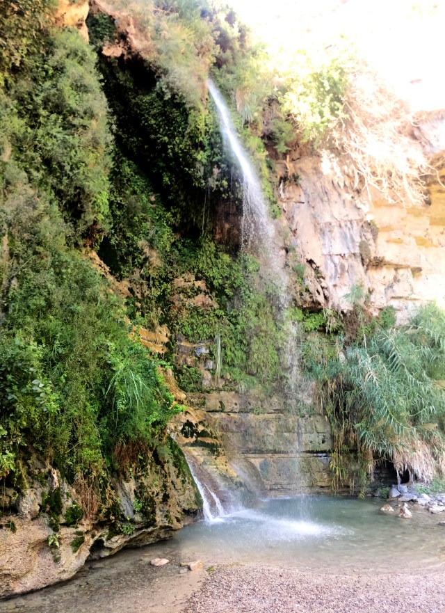 King David waterfall