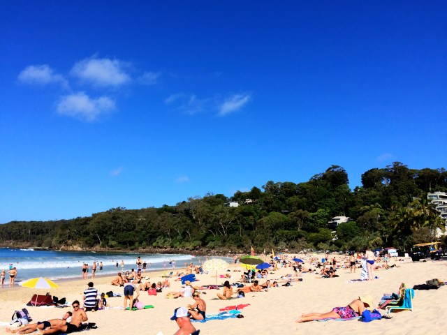 Noosa Surf Club Beach
