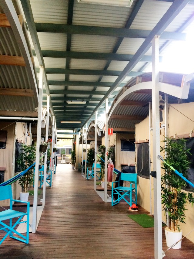 Glamping tents with covered walkway