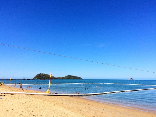 Netted swimming area in Palm Cove