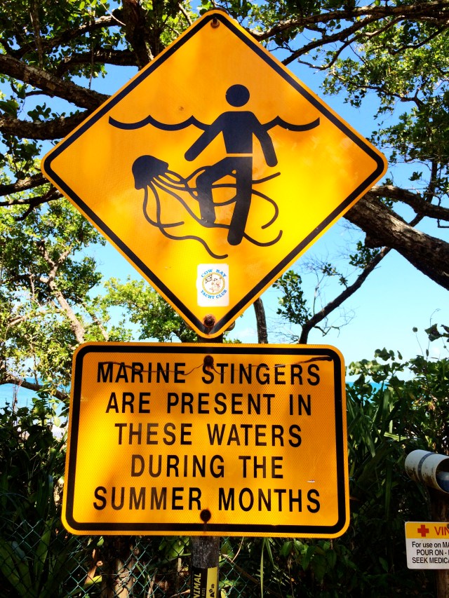 Jellyfish warning