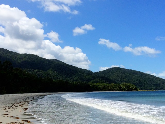 Cape Tribulation