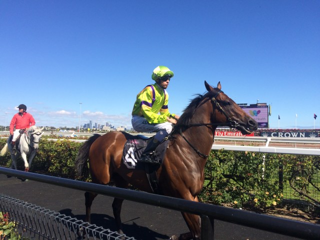 Flemington Racetrack - Melbourne